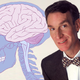 Illustration for article titled Bill Nye the Science Guy: Dont Worry, Your Phone Isnt Making You Dumb